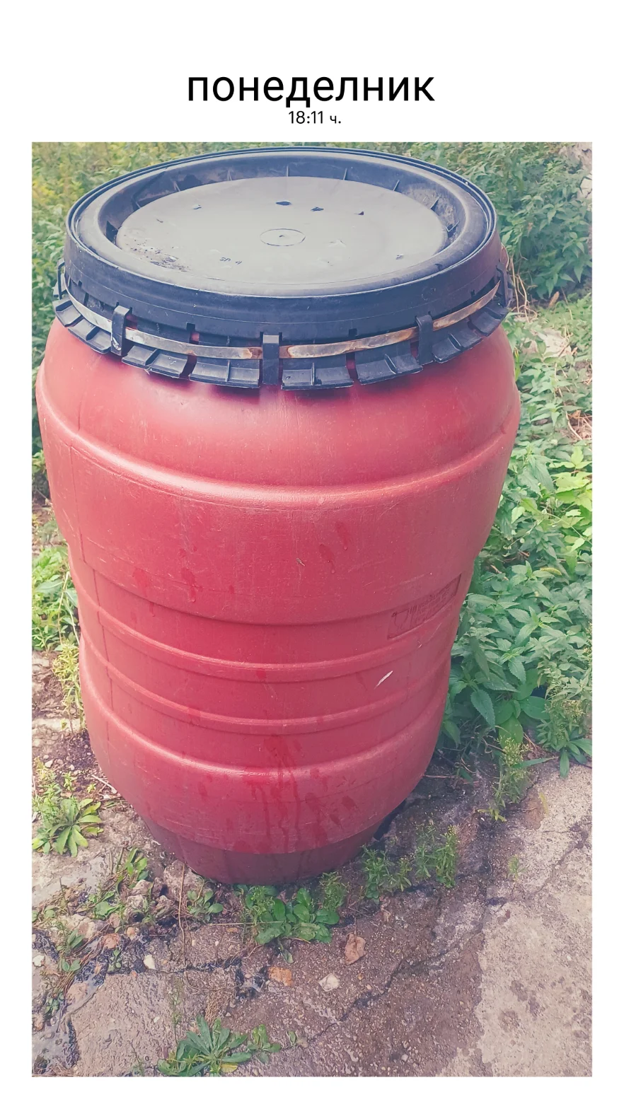Пластмасови бидони HDPE 50-100 л с капак, за туршия и вода